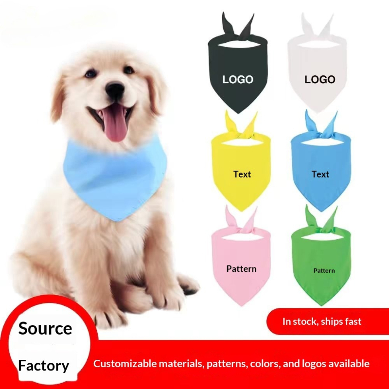 Wholesale Men Women Wedding Pa - огляд і ціна Company Profile Printing