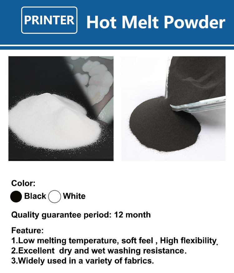 1000g 1kg DTF Powder Fine Powd - огляд і ціна Dtf Printer Machine
